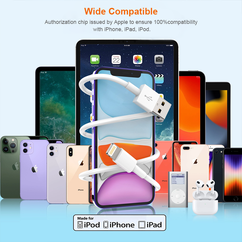 D1  USB-Lightning Cable