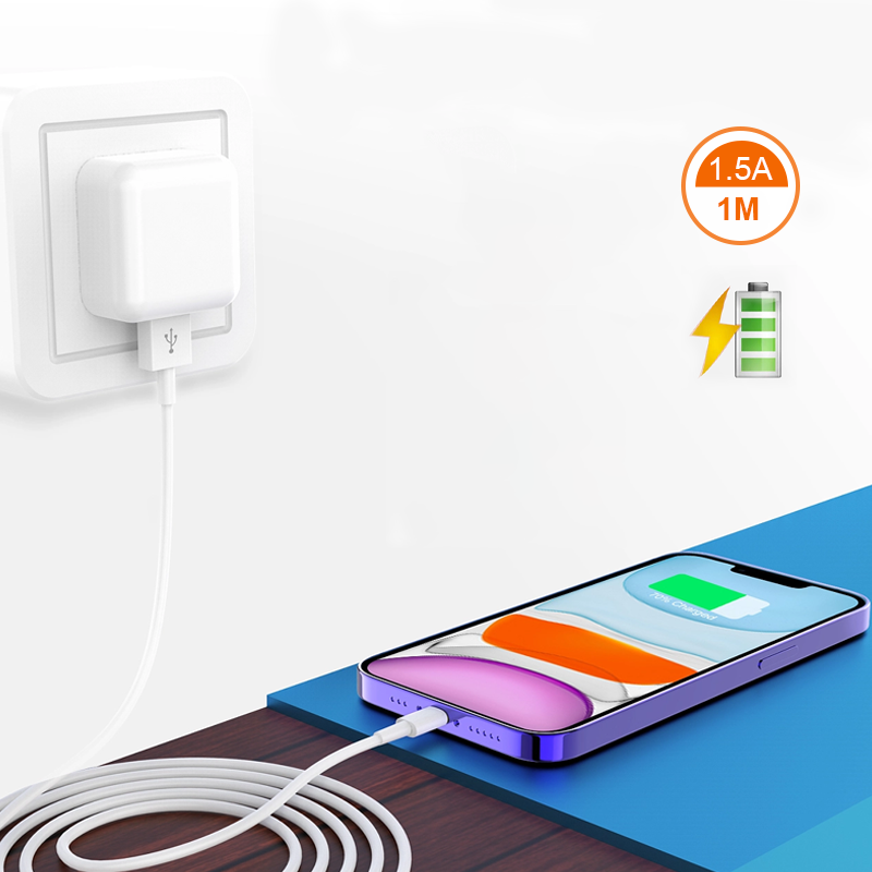 D1  USB-Lightning Cable