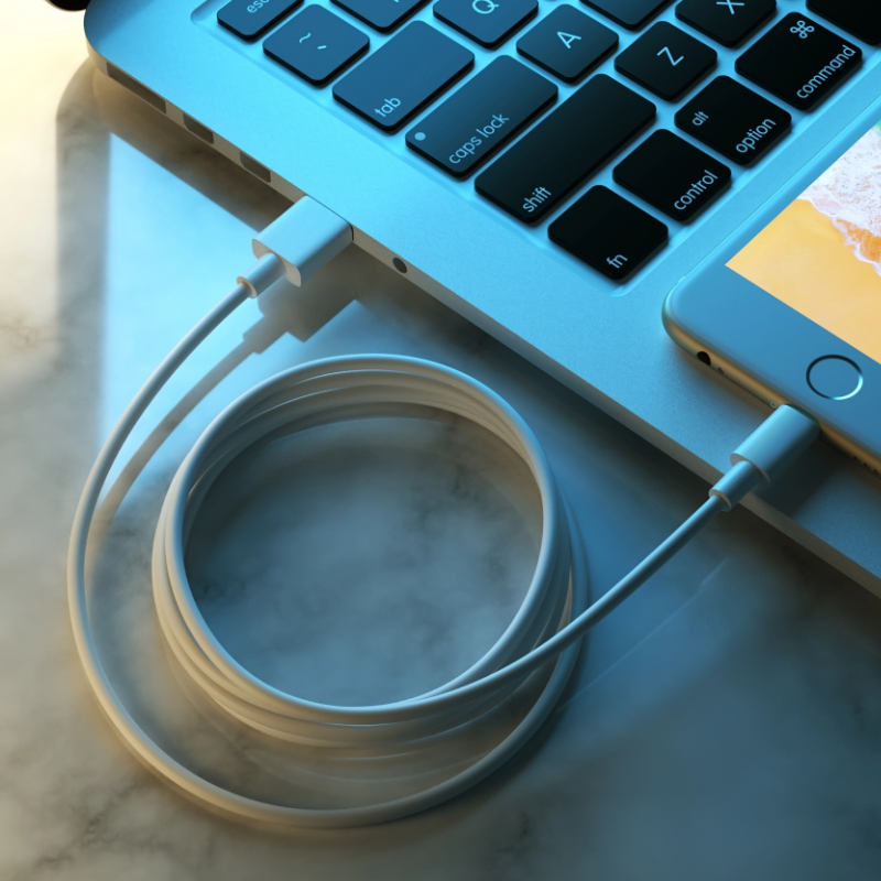 D1  USB-Lightning Cable