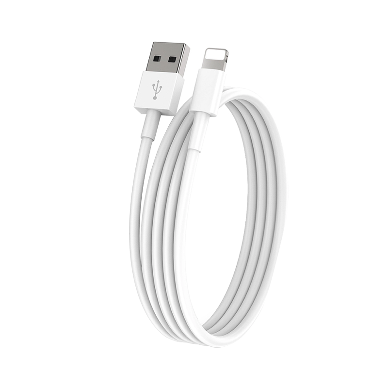 D1  USB-Lightning Cable