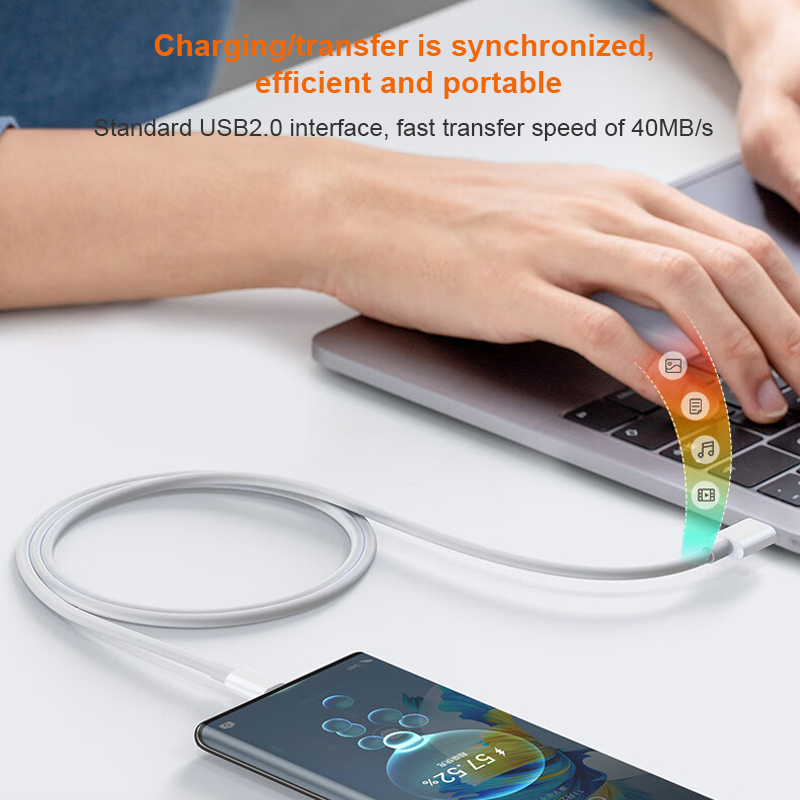 D2  USB-Type C Cable