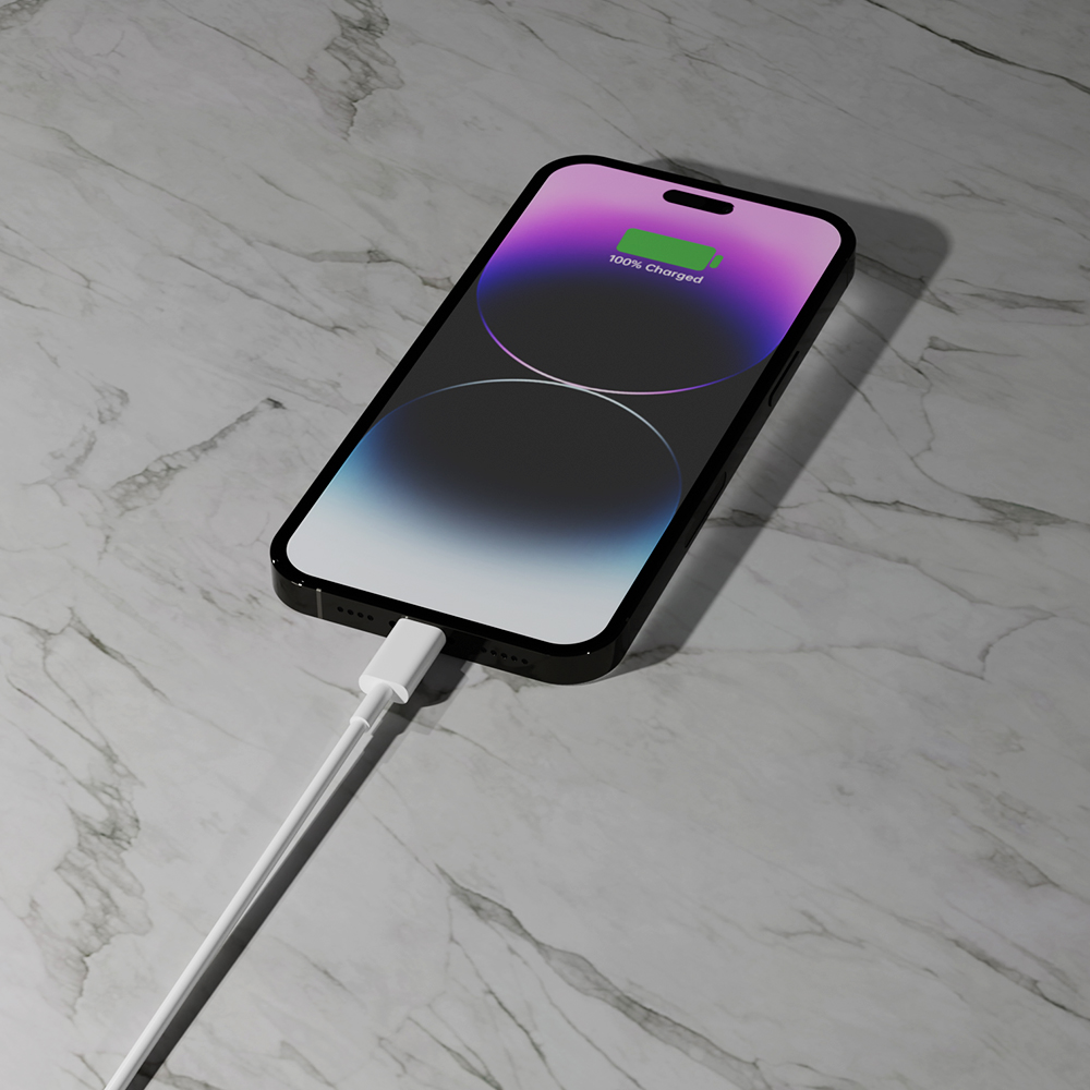 D6 Type-C to lightning cable
